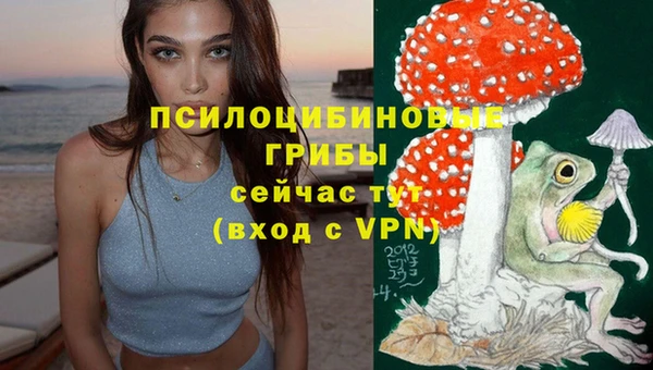тгк Козельск