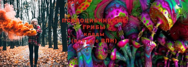 тгк Козельск