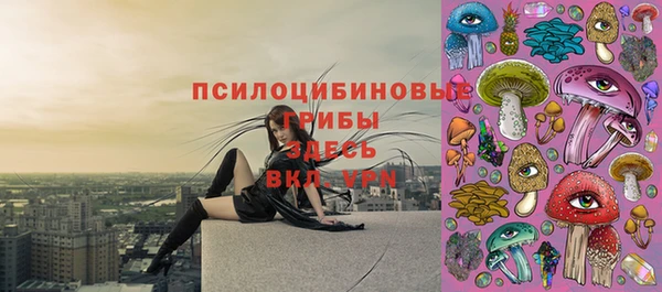 не бодяженный Козловка