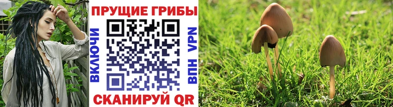 Галлюциногенные грибы мицелий  Нюрба 